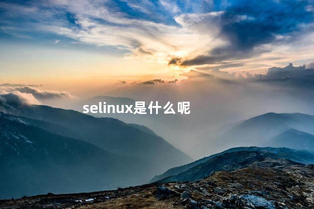 selinux是什么呢
