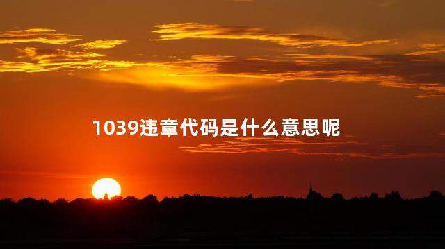 1039违章代码是什么意思呢