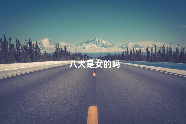 八犬是女的吗