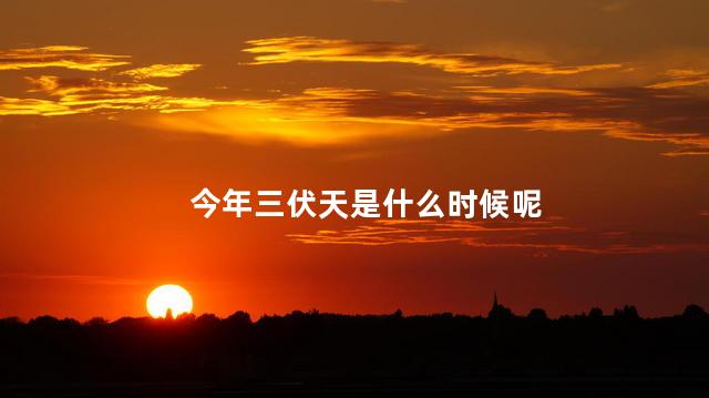 今年三伏天是什么时候呢
