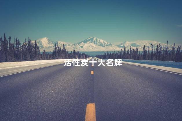 活性炭十大名牌