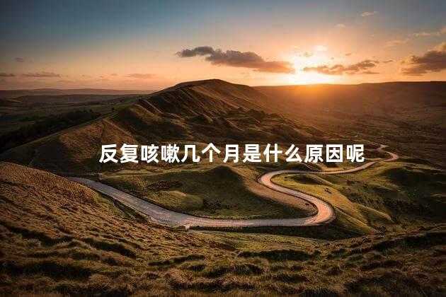 反复咳嗽几个月是什么原因呢