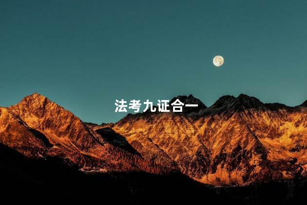 法考九证合一