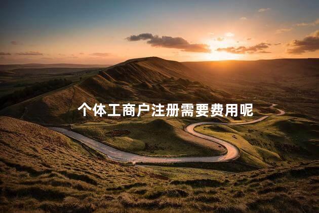 个体工商户注册需要费用呢