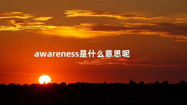awareness是什么意思呢