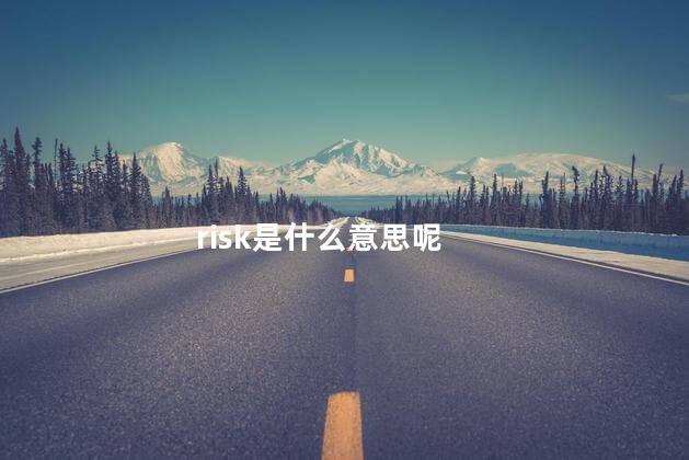 risk是什么意思呢