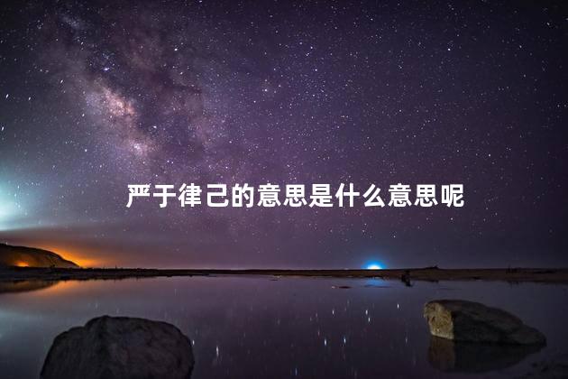严于律己的意思是什么意思呢