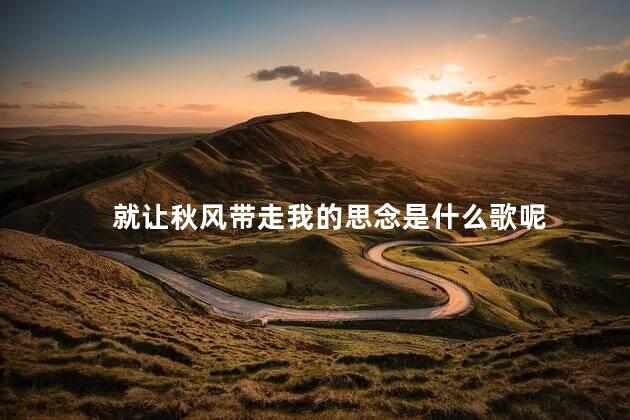 就让秋风带走我的思念是什么歌呢