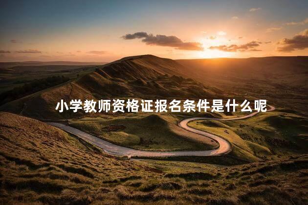 小学教师资格证报名条件是什么呢