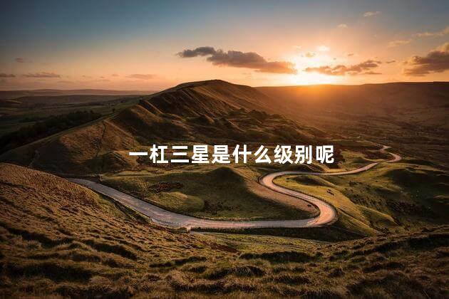 一杠三星是什么级别呢