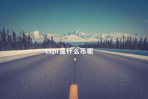 cspr是什么币呢
