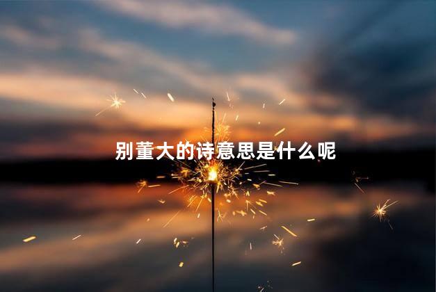 别董大的诗意思是什么呢