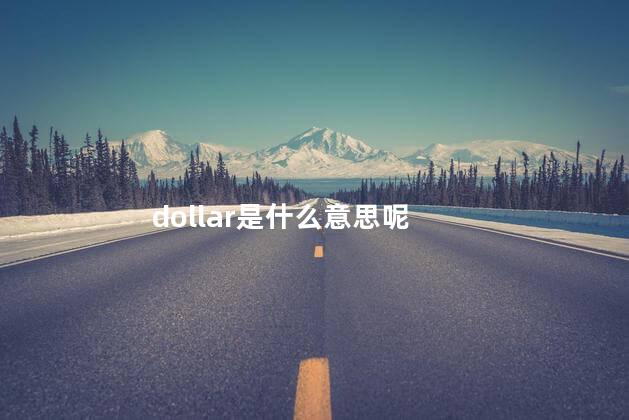 dollar是什么意思呢