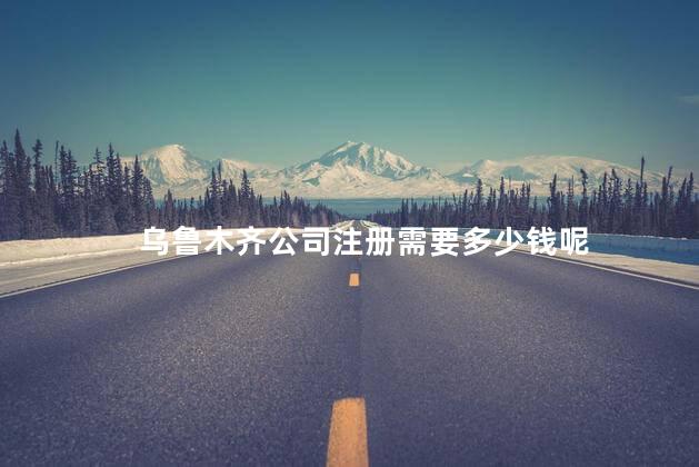 乌鲁木齐公司注册需要多少钱呢