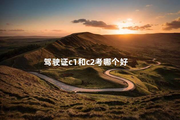 驾驶证c1和c2考哪个好