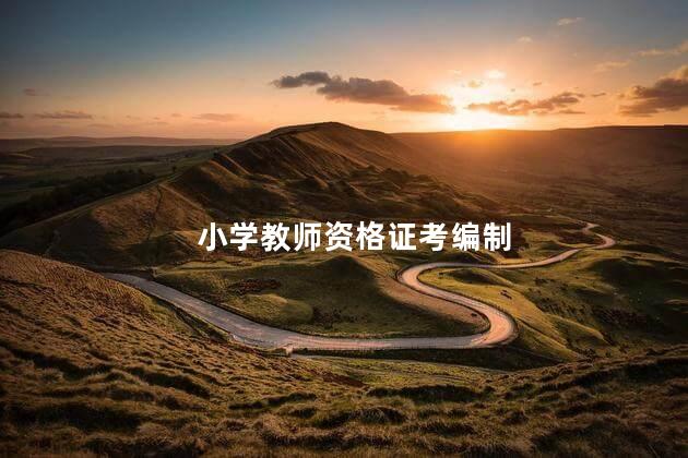 小学教师资格证考编制