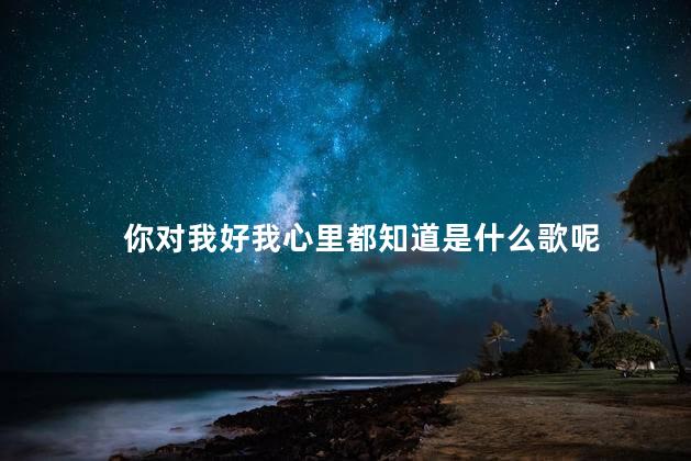你对我好我心里都知道是什么歌呢