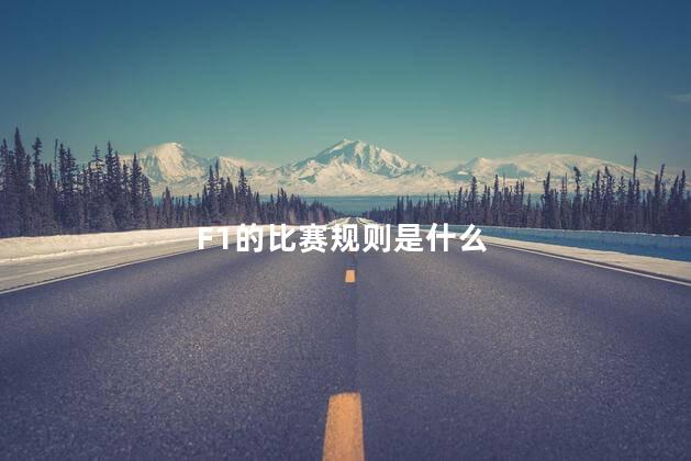 F1的比赛规则是什么，f1方程式赛车竞赛规则