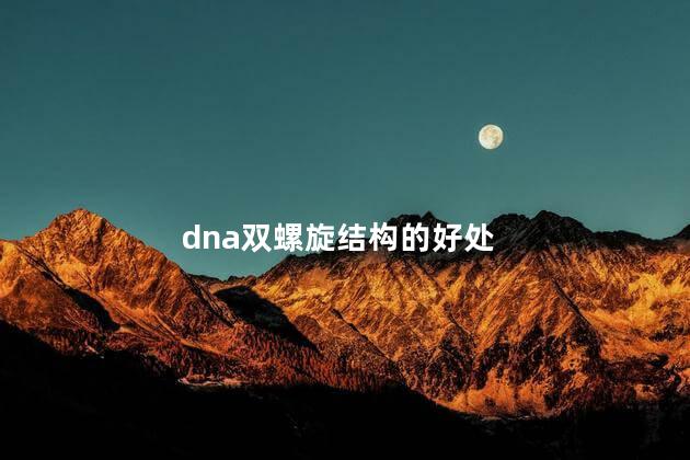 dna双螺旋结构的好处，dna双螺旋结构的功能特点