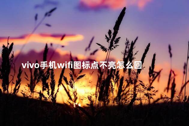 vivo手机wifi图标点不亮怎么回事,vivo手机wifi不显示