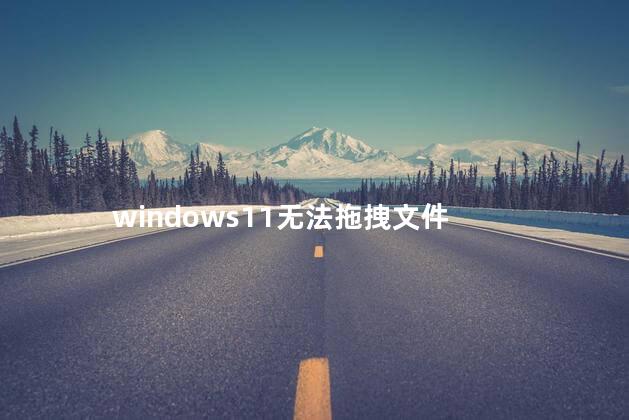 windows11无法拖拽文件，windows11操作指南