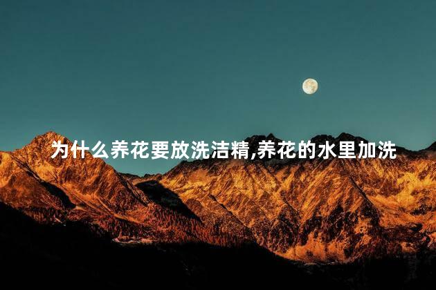 为什么养花要放洗洁精,养花的水里加洗洁精