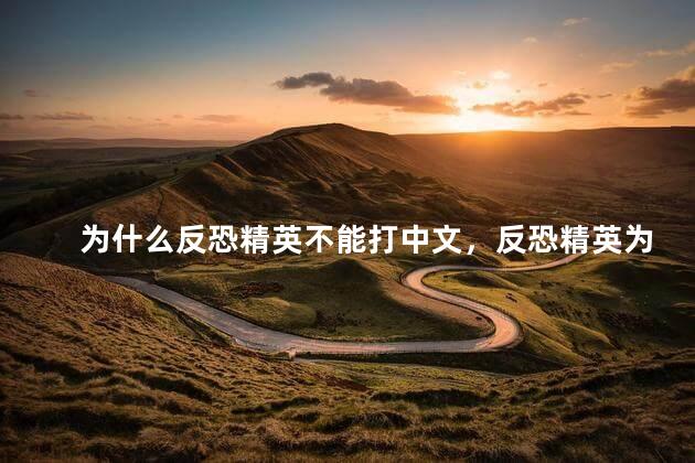 为什么反恐精英不能打中文，反恐精英为什么不能打中文
