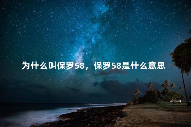 为什么叫保罗58，保罗58是什么意思
