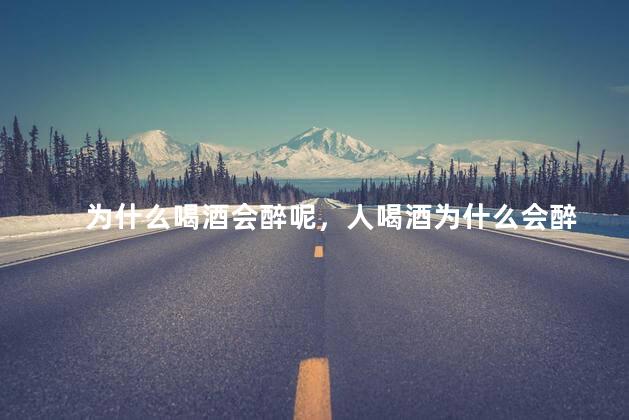 为什么喝酒会醉呢，人喝酒为什么会醉