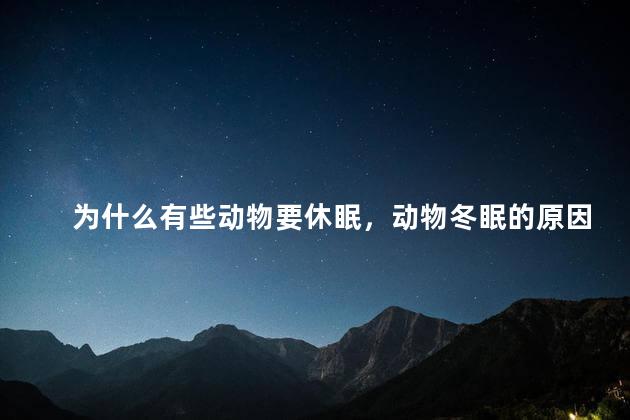 为什么有些动物要休眠，动物冬眠的原因是什么