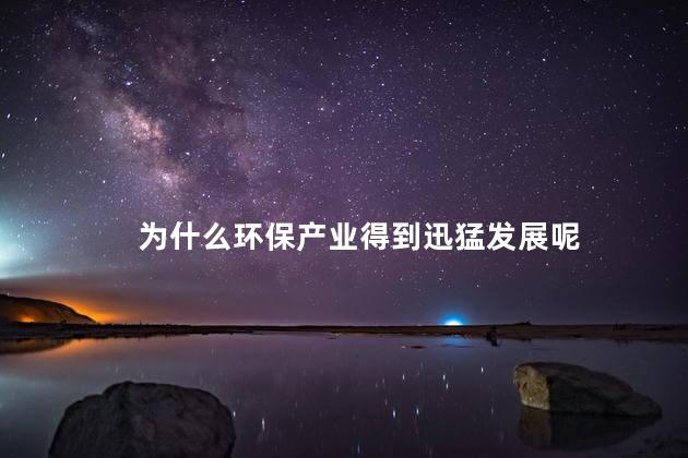 为什么环保产业得到迅猛发展呢，环保产业得到迅猛发展的原因