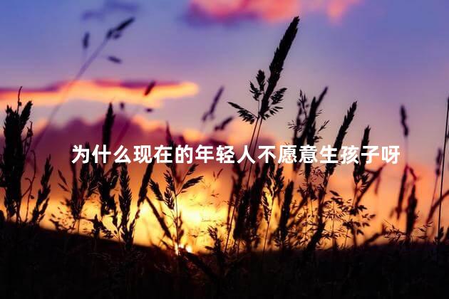 为什么现在的年轻人不愿意生孩子呀，现在的年轻人不愿意生孩子的原因