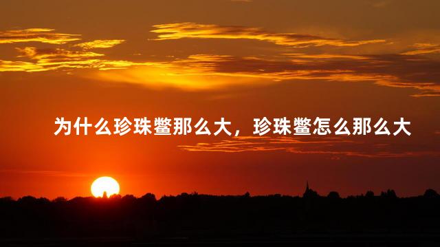 为什么珍珠鳖那么大，珍珠鳖怎么那么大一只