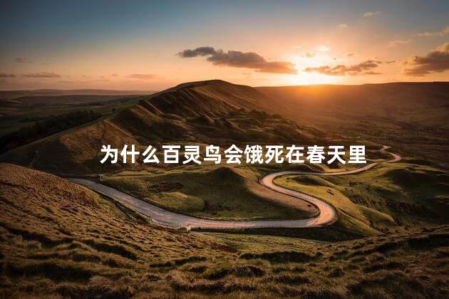 为什么百灵鸟会饿死在春天里，百灵鸟饿死在春天里的原因