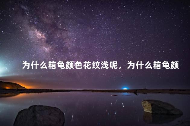 为什么箱龟颜色花纹浅呢，为什么箱龟颜色花纹深浅不一样