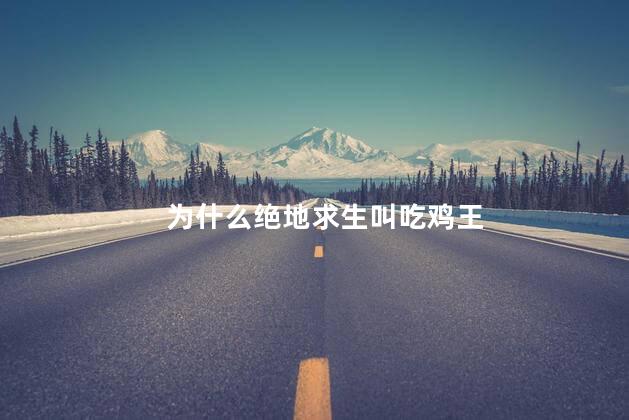 为什么绝地求生叫吃鸡王，绝地求生为什么叫吃鸡王