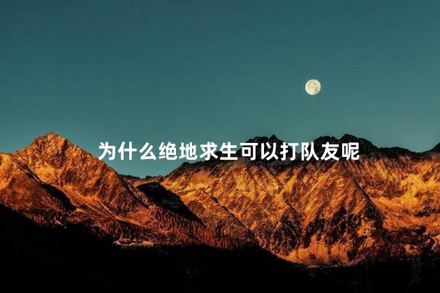 为什么绝地求生可以打队友呢，绝地求生怎么可以打队友