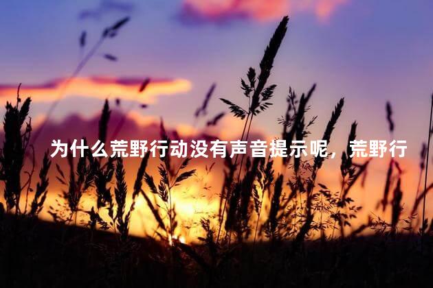为什么荒野行动没有声音提示呢，荒野行动没有声音提示怎么回事