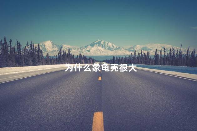 为什么象龟壳很大，象龟的壳为什么那么大