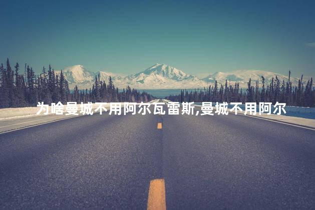为啥曼城不用阿尔瓦雷斯,曼城不用阿尔瓦雷斯的原因