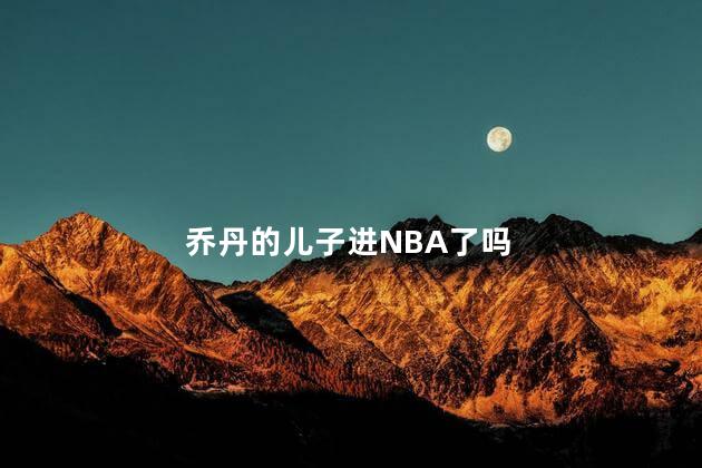 乔丹的儿子进NBA了吗，乔丹的儿子能进NBA吗