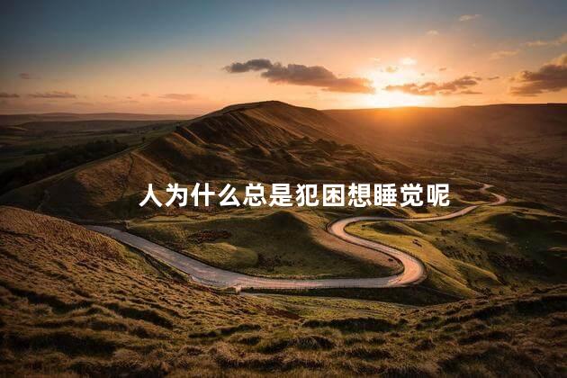 人为什么总是犯困想睡觉呢，经常犯困想睡觉是什么原因
