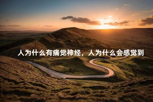 人为什么有痛觉神经，人为什么会感觉到疼痛