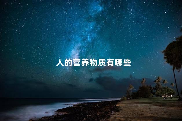 人的营养物质有哪些,人的营养物质包括哪些