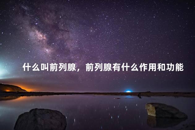 什么叫前列腺，前列腺有什么作用和功能