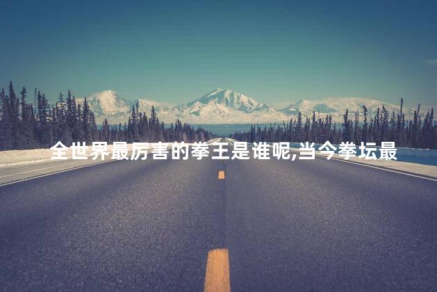 全世界最厉害的拳王是谁呢,当今拳坛最厉害的是谁