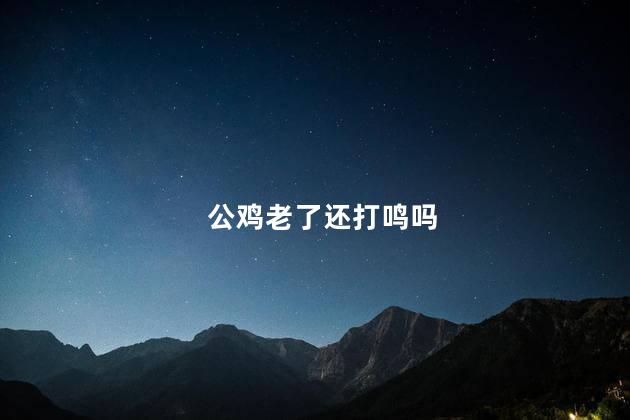 公鸡老了还打鸣吗，公鸡老了还会不会打鸣呢