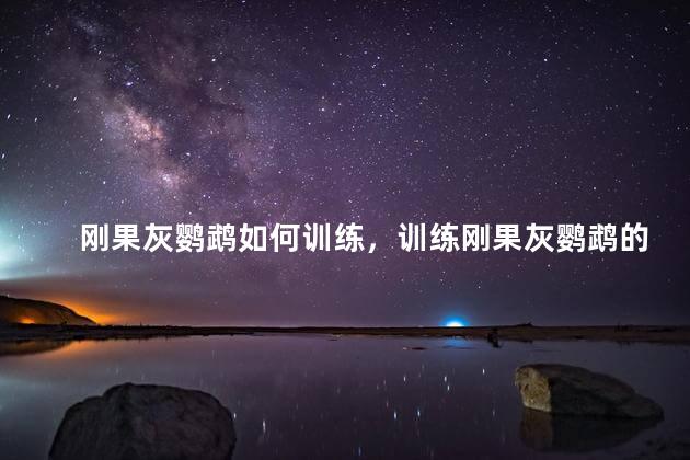 刚果灰鹦鹉如何训练，训练刚果灰鹦鹉的技巧