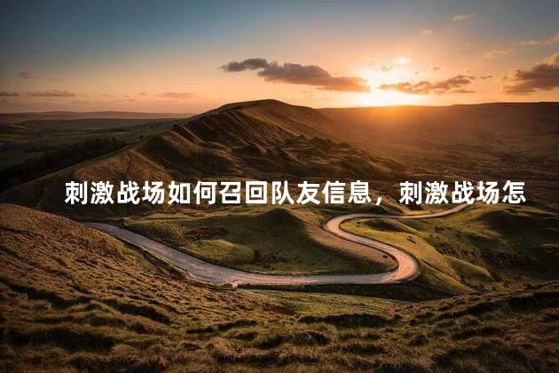 刺激战场如何召回队友信息，刺激战场怎样召回队友