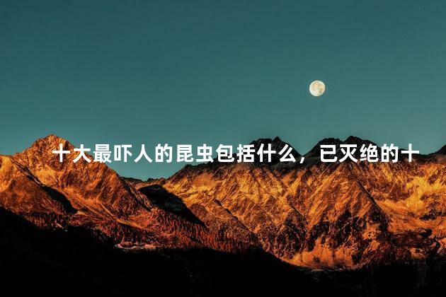 十大最吓人的昆虫包括什么，已灭绝的十大恐怖虫子